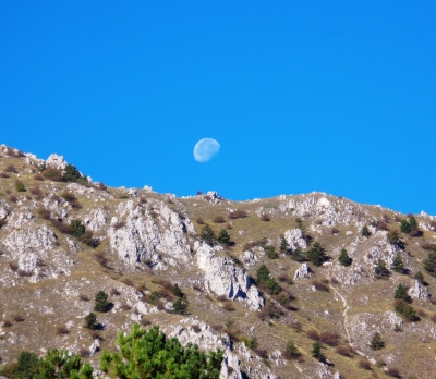 D'improvviso tra volti di pietra...