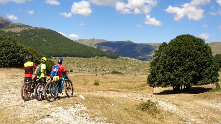 60 KM MTB per il grande anello sull'Altopiano delle Rocche